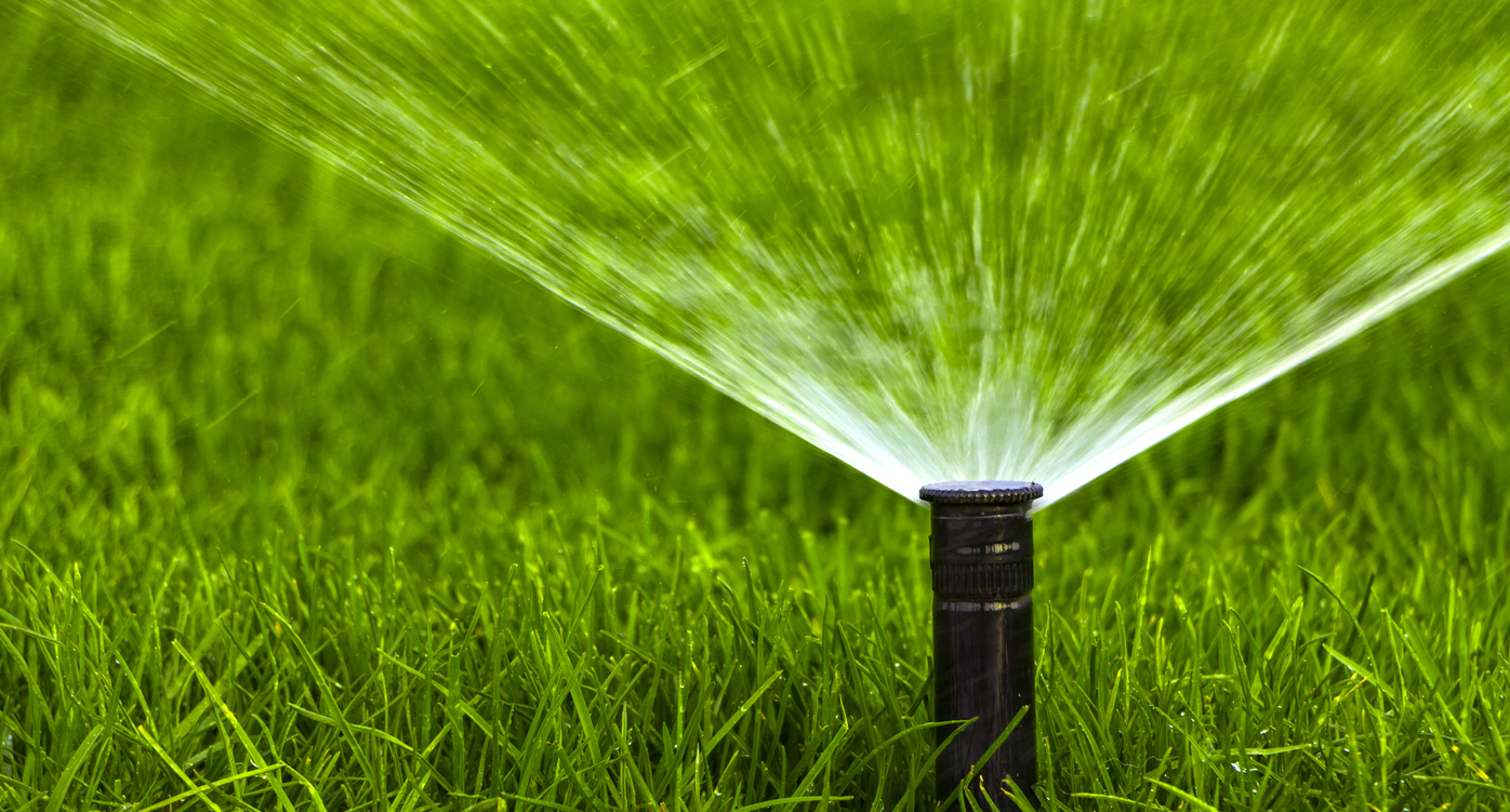 watering lawn